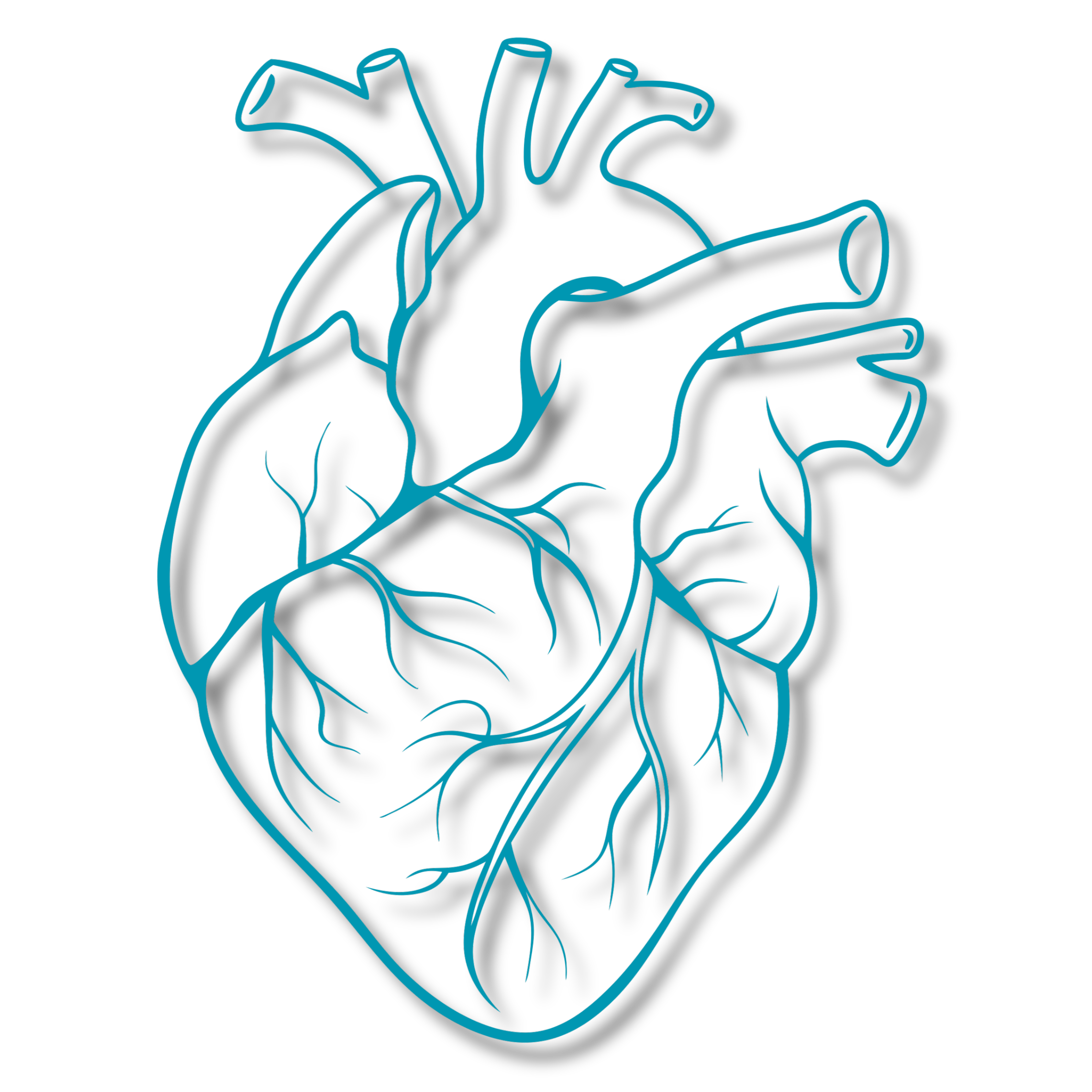 Cardiología